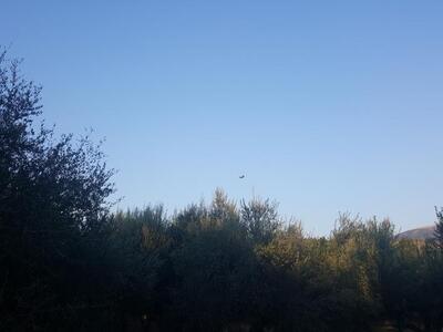 Πέμπτη 17 Αυγούστου, ώρα 19.30 - Πτήση Σ...