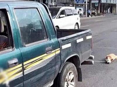 Δυτική Ελλάδα: Δικογραφία για κακοποίηση...