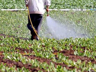 Aποζημιώσεις απο τον ΕΛΓΑ αύριο για αγρό...