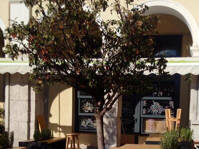 Πάτρα: Ο νέος και ιδιαίτερος χώρος που α...