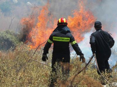 Ζάκυνθος: Φωτιά στο δάσος στις Ορθονιές