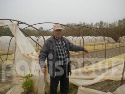 Ηλεία: Μεγάλη καταστροφή άφησαν πίσω του...