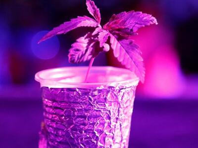 Ανδραβίδα: Σύλληψη 28χρονου για μικροποσ...