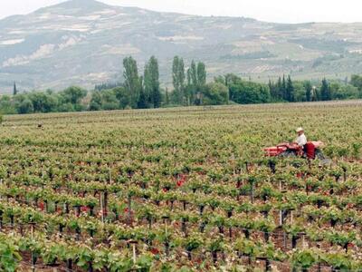 Δυτική Ελλάδα: Μέχρι 30 Ιουνίου οι αιτήσ...