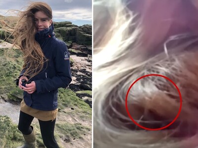 Για 84 ημέρες έκανε τα μαλλιά της φωλιά ...