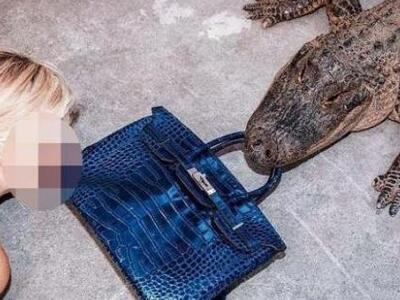 Ηθοποιός κινδύνεψε από… αλιγάτορα για χά...