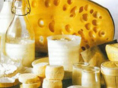 Τιμώμενη η Αιτωλοακαρνανία στο Φεστιβάλ ...