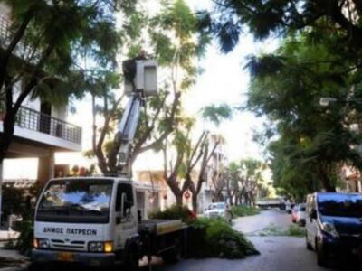 Πάτρα:Κλάδεμα δένδρων στην Έλληνος Στρατ...