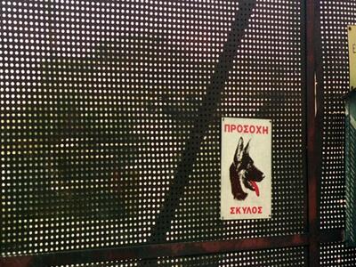 Ευθανασία στα ροτβάιλερ που κατασπάραξαν...