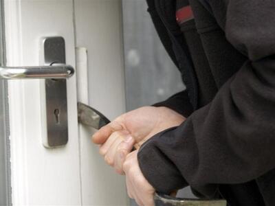 Αγρίνιο: Έπιασαν την ομάδα των ποντικών ...