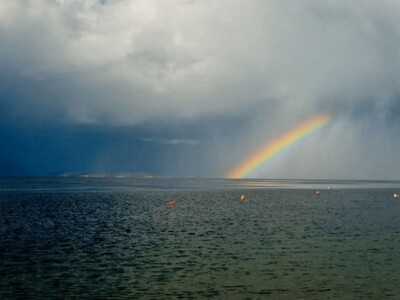 Φωτ.: gargalianoionline