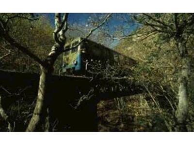 Γ. Τελώνης: «Αναγέννηση του εγχώριου του...