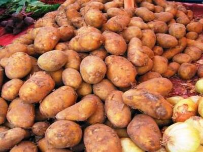 Ηλεία: Οι αγρότες προσέφεραν τρόφιμα στο...