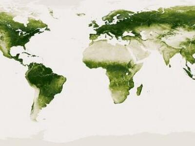 Η Γη στα πράσινα: Δορυφορικός χάρτης παρ...