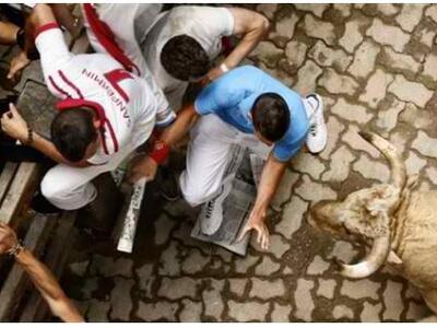 Η γιορτή του κυνηγιού του ταύρου, κατέλη...