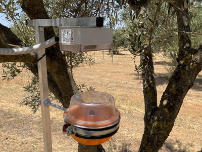 Πιλοτικό σύστημα αναγνώρισης δάκου στην ...