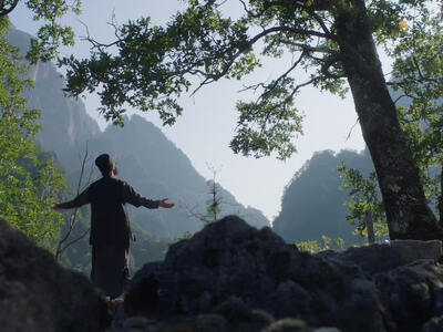 Στις 29 Ιανουαρίου 2026 στις αίθουσες η ...