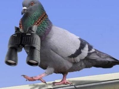 Βέλγιο: Βρέθηκαν ντοπαρισμένα... αγωνιστ...