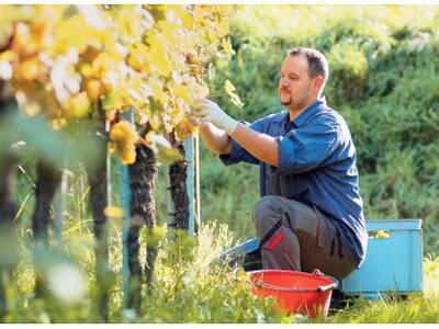 Ημερίδα για ανέργους και αγρότες των Δήμ...