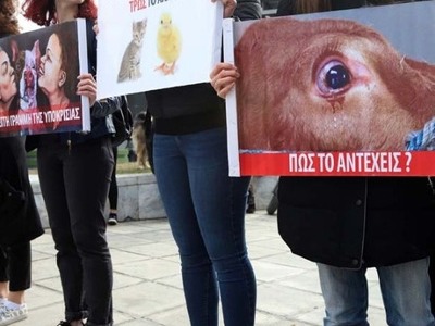 Θλιβερή πρωτιά της Ελλάδας στην κακοποίοηση ζώων 
