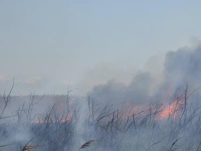 Μεγάλη φωτιά στο Μεσολόγγι - ΒΙΝΤΕΟ & ΦΩΤΟ