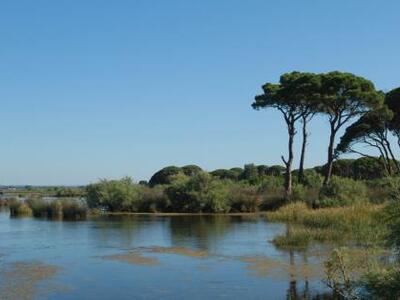 Δυτική Ελλάδα: ΔΕΙΤΕ που ΑΠΑΓΟΡΕΥΕΤΑΙ να...
