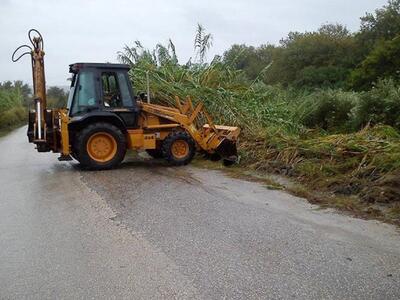 Πάτρα: Δένδρο στη μέση της Εθνικής - Παρ...