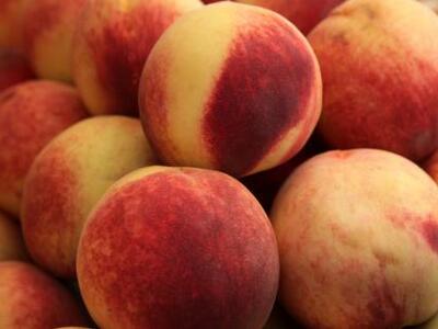 Σύσκεψη σήμερα στο ΥΠΕΞ για το ρωσικό εμπάργκο