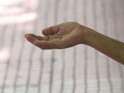 Πάτρα: Μαϊμού μέλη του Συλλόγου Κακοποιη...