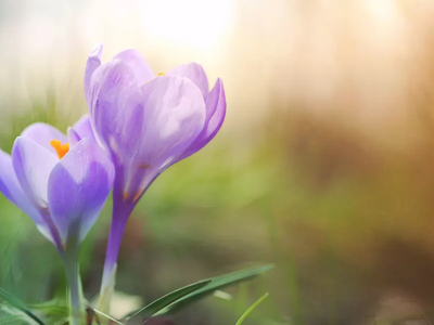 Εορτολόγιο: Σήμερα 6 Μαΐου γιορτάζει…