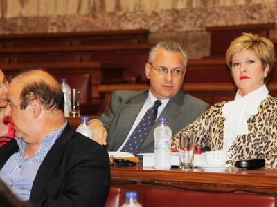 Κόλλια-Χαϊκάλης: Θα ψηφίζαμε Πρόεδρο εάν...