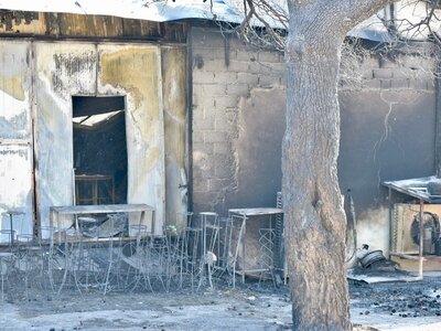 Φωτιά στην Αττική: 36 προσαγωγές και 6 σ...