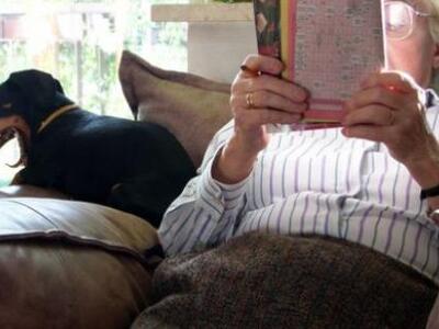 Σταυρόλεξα & κουίζ ξανανιώνουν κατά ...