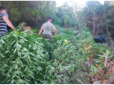 Αστυνομική επιχείρηση κοντά στην Πιτίτσα...