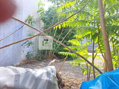 Βόλος: «Βλέπουμε κάποιον ξαπλωμένο στο έ...