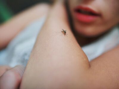 Κουνούπια: Επτά λόγοι που τσιμπούν εσάς ...