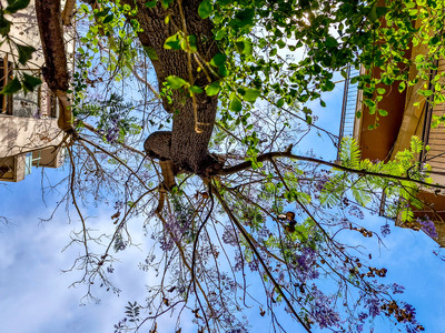 Καιρός: Το καλοκαίρι ξεκίνησε - Η θερμοκ...