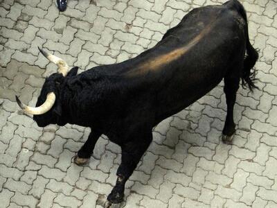 Θεσπρωτία: Τραγικό τέλος για 32χρονο - Τ...