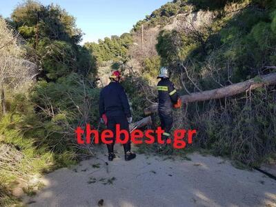 Πάτρα: Tραυματίστηκε άνδρας στη Βούντενη...