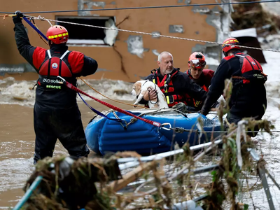 REUTERS/David W Cerny