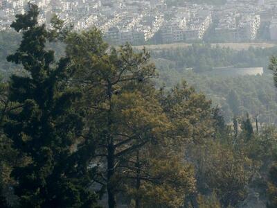 Παλινωδίες με δασικές εκτάσεις-Στρέμματα...