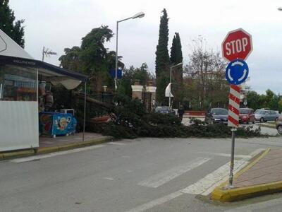 Πάτρα ΤΩΡΑ: Ο αέρας "ξήλωσε" δ...