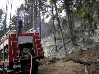 Πάτρα – Τώρα: Καίγεται δέντρο στην Καλλιθέα
