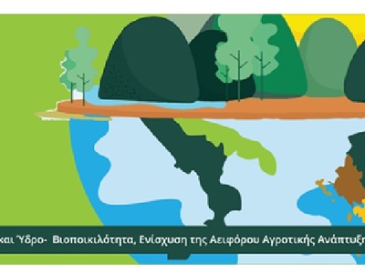 Περιφέρεια Δυτ. Ελλάδας: Νέα διαδικτυακή...