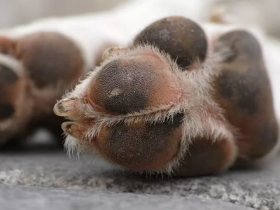 Πύργος: Πρόστιμο και δικογραφία σε 76χρο...