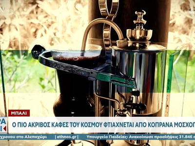 Μπαλί: Ο πιο ακριβός καφές του κόσμου φτ...