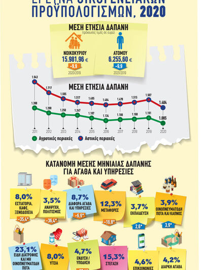 2020: Έρευνα οικογενειακών προϋπολογισμών 