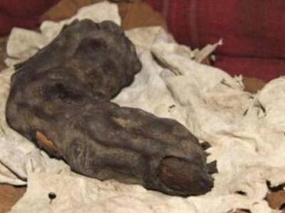 Το δάκτυλο ενός... γίγαντα ανακαλύφθηκε ...