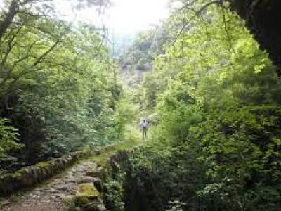 Η ΟΙΚΙΠΑ Πάτρας καταγγέλλει σκόπιμο υποβ...