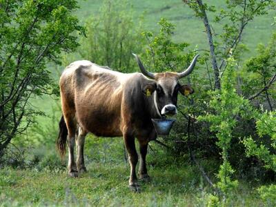 Παράταση στην πληρωμή των οφειλών για τι...